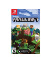 Minecraft NSW
