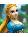Zelda Breath of The Wild - Zelda Dark Horse