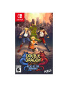 Double Dragon Gaiden Rise Of The Dragons NSW